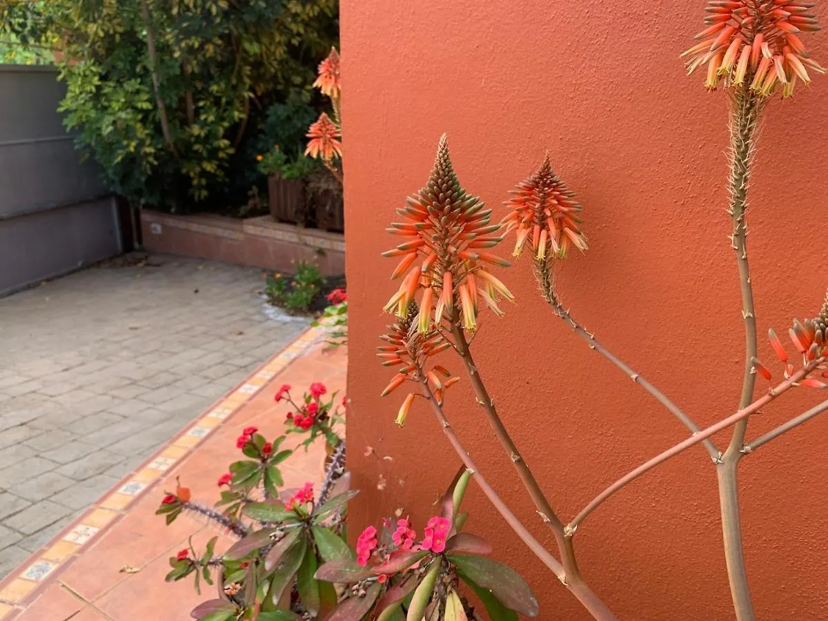 Appartement La Casita De Descanso - Das Haeuschen Der Ruhe - La Luz - La Orotava